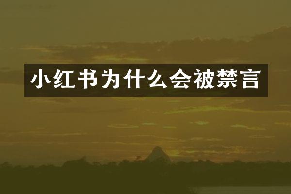 小红书为什么会被禁言