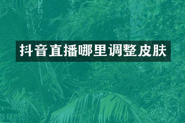 抖音直播哪里调整皮肤
