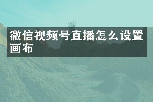 微信视频号直播怎么设置画布
