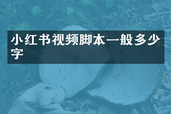 小红书视频脚本一般多少字