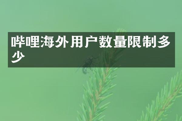 哔哩海外用户数量限制多少