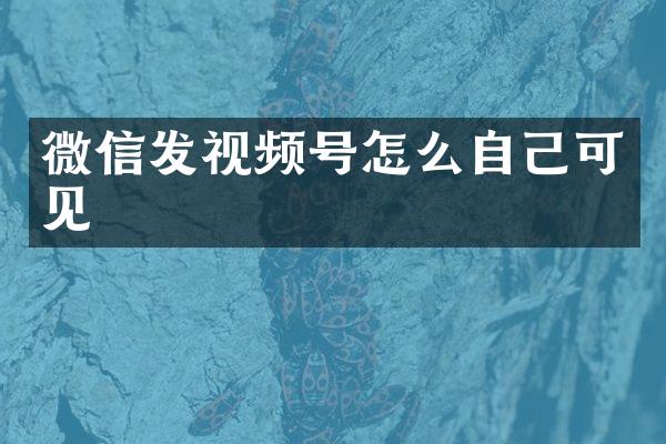 微信发视频号怎么自己可见