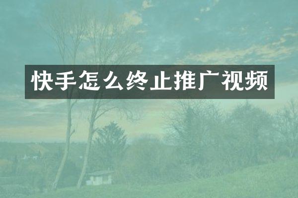 快手怎么终止推广视频