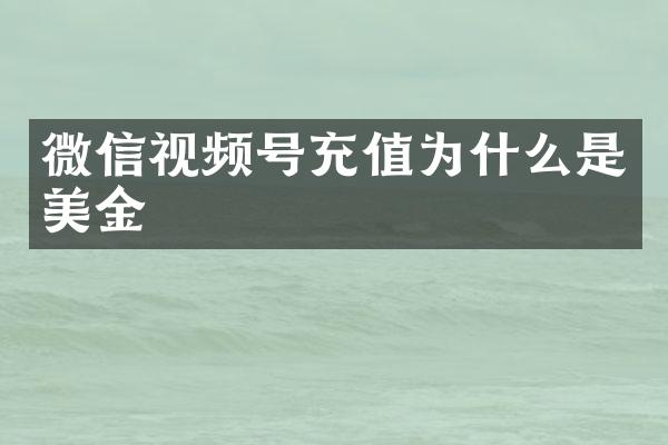 微信视频号充值为什么是美金