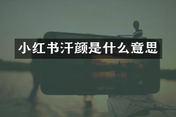 小红书汗颜是什么意思