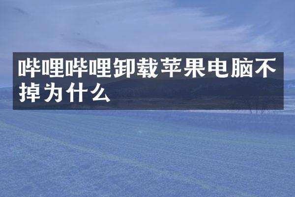 哔哩哔哩卸载苹果电脑不掉为什么