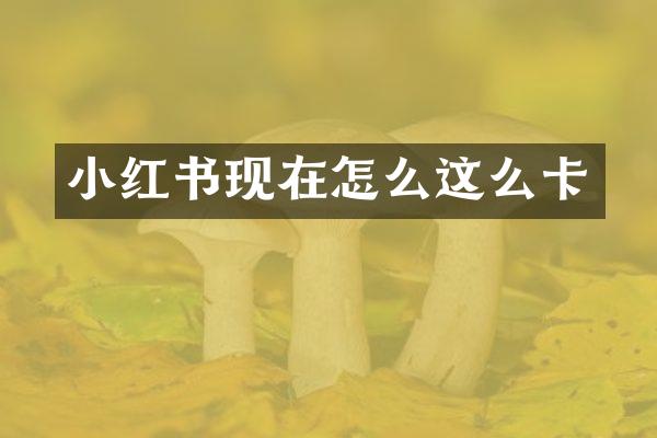 小红书现在怎么这么卡