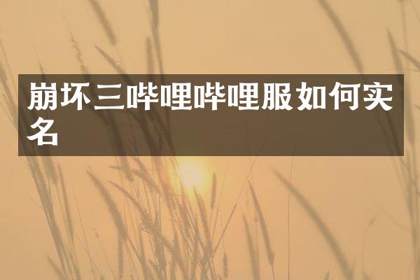 崩坏三哔哩哔哩服如何实名