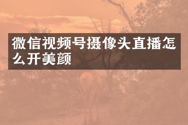 微信视频号摄像头直播怎么开美颜