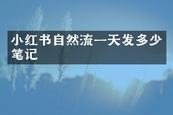 小红书自然流一天发多少笔记