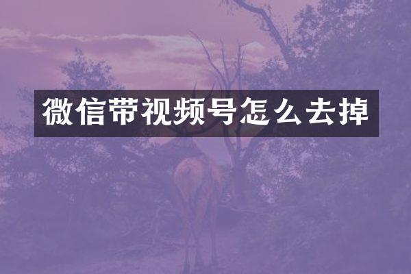 微信带视频号怎么去掉