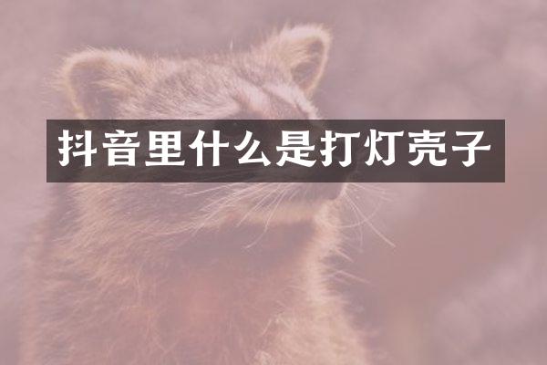 抖音里什么是打灯壳子