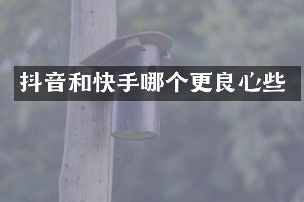 抖音和快手哪个更良心些