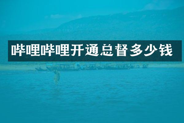 哔哩哔哩开通总督多少钱