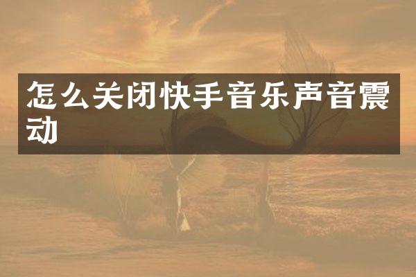 怎么关闭快手音乐声音震动