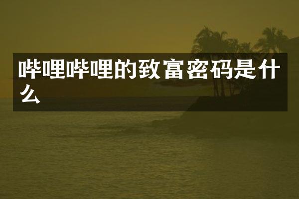 哔哩哔哩的致富密码是什么