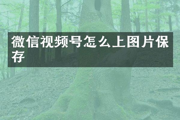 微信视频号怎么上图片保存