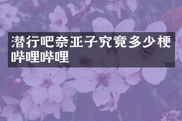 潜行吧奈亚子究竟多少梗哔哩哔哩