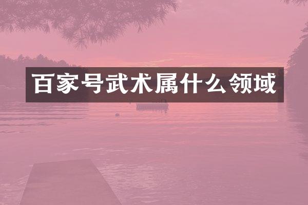 百家号武术领域