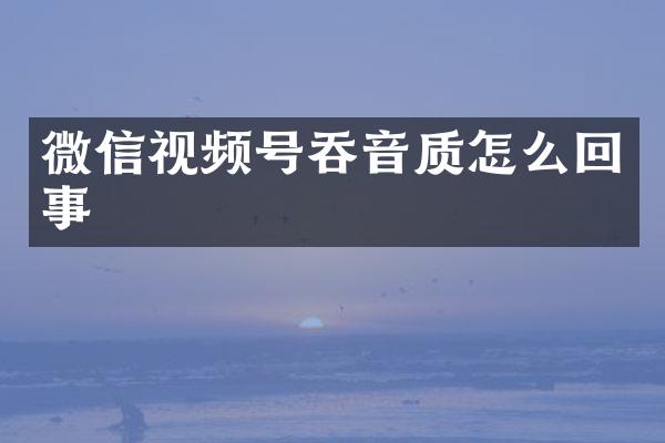 微信视频号吞音质怎么回事