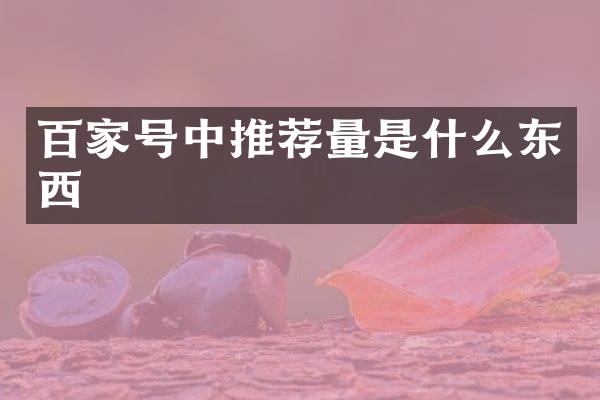 百家号中推荐量是什么东西