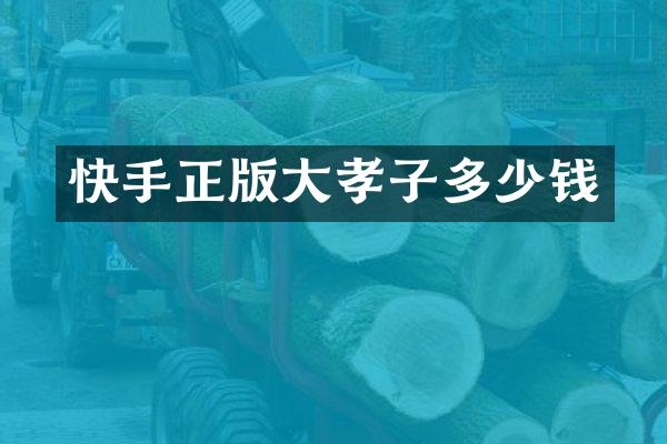 快手正版大孝子多少钱