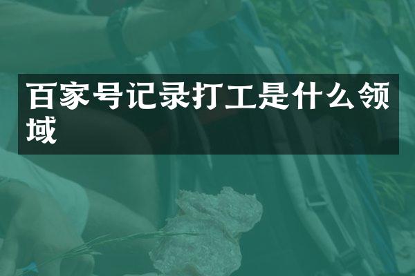 百家号记录打工是什么领域