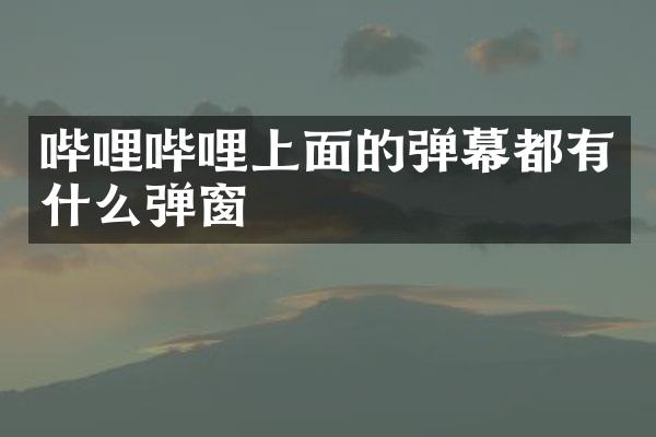 哔哩哔哩上面的弹幕都有什么弹窗