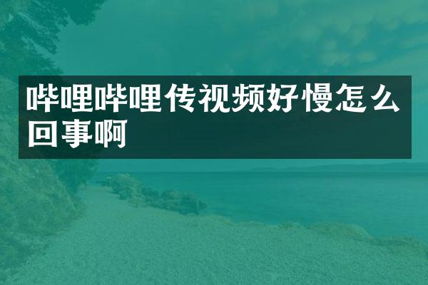哔哩哔哩传视频好慢怎么回事啊