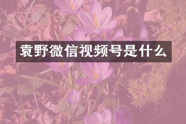 袁野微信视频号是什么
