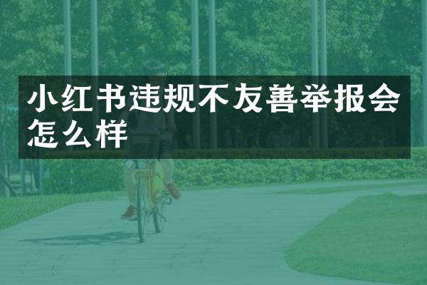 小红书违规不友善举报会怎么样