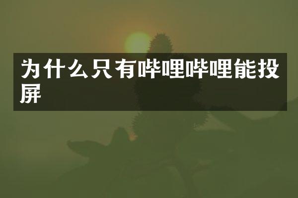 为什么只有哔哩哔哩能投屏