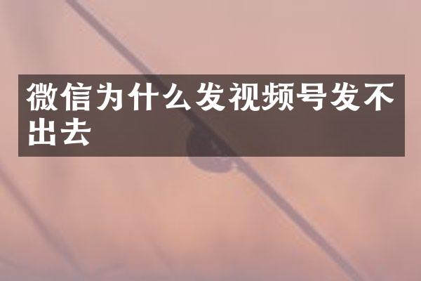 微信为什么发视频号发不出去