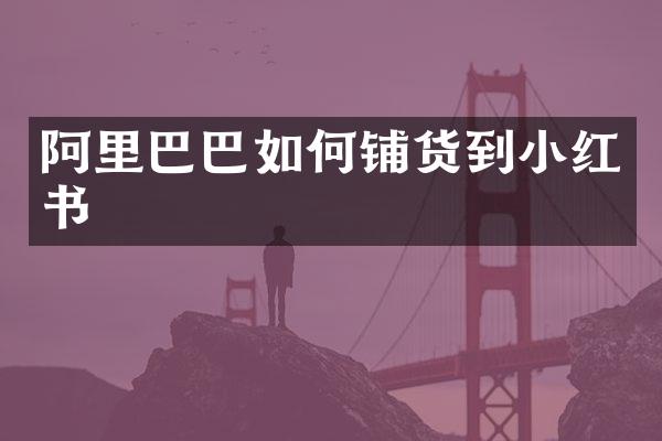 阿里巴巴如何铺货到小红书