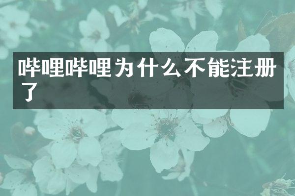 哔哩哔哩为什么不能注册了