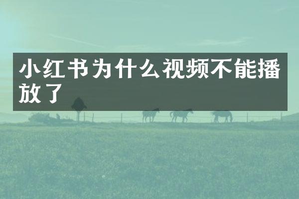 小红书为什么视频不能播放了