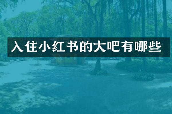 入住小红书的大吧有哪些