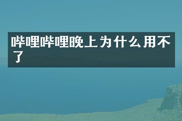 哔哩哔哩晚上为什么用不了