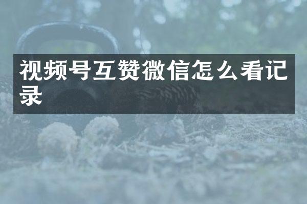 视频号互赞微信怎么看记录
