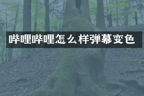 哔哩哔哩怎么样弹幕变色