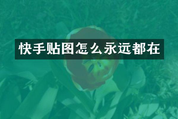 快手贴图怎么永远都在