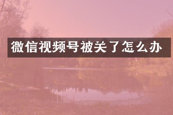 微信视频号被关了怎么办
