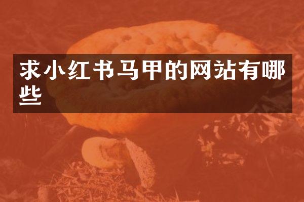 求小红书马甲的网站有哪些