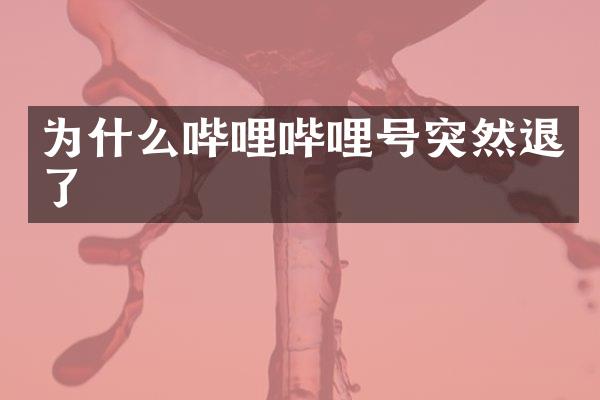 为什么哔哩哔哩号突然退了