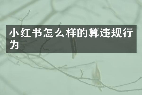 小红书怎么样的算违规行为