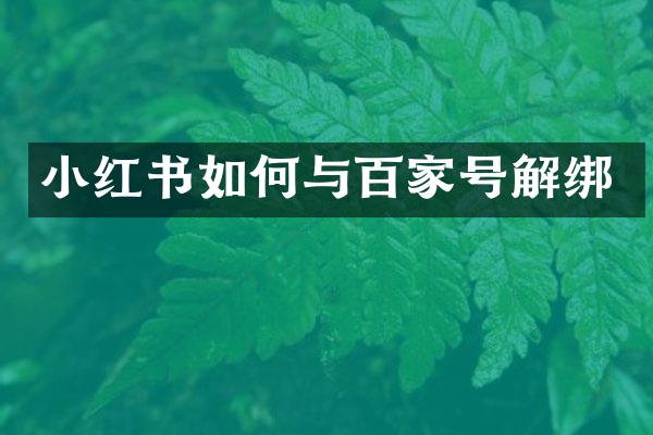 小红书如何与百家号解绑