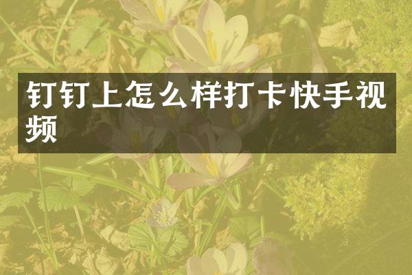 钉钉上怎么样打卡快手视频
