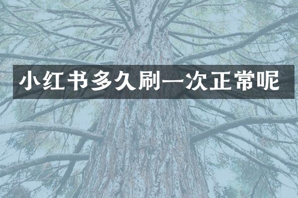 小红书多久刷一次正常呢