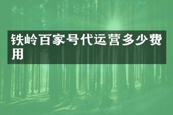铁岭百家号多少费用