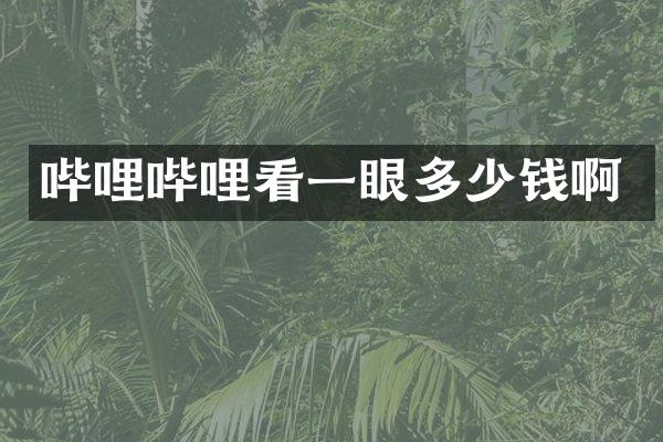 哔哩哔哩看一眼多少钱啊
